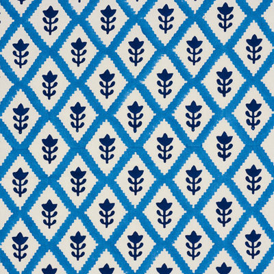 Schumacher x Molly Mahon Buti Fabric