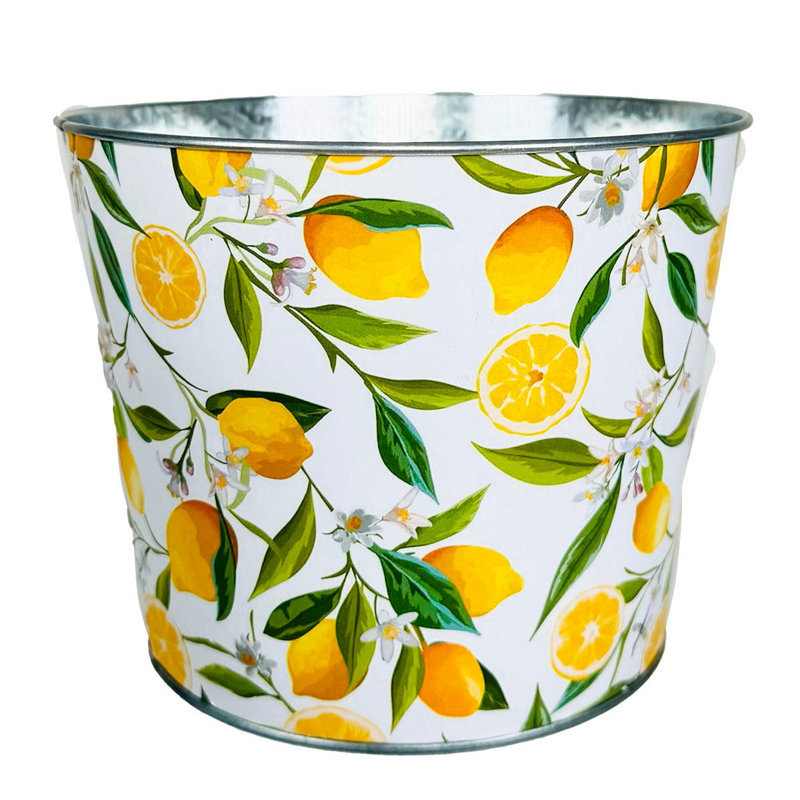 Pot à fleurs en métal Lemon Branches, H 5 po x l 6,5 po x P 6,5 po