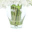 Polysilk Hydrangea Arrangement in Vase-53315512