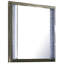 Miroir de commode Levi, 38 po, moulure à motif de feuilles avec DEL, bois gris foncé