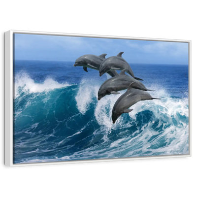 Dauphins à Hawaï
