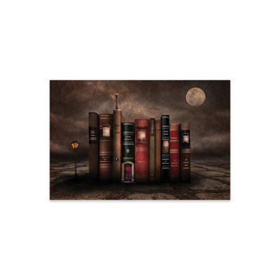 " Night Library " by Muriel Vekemans