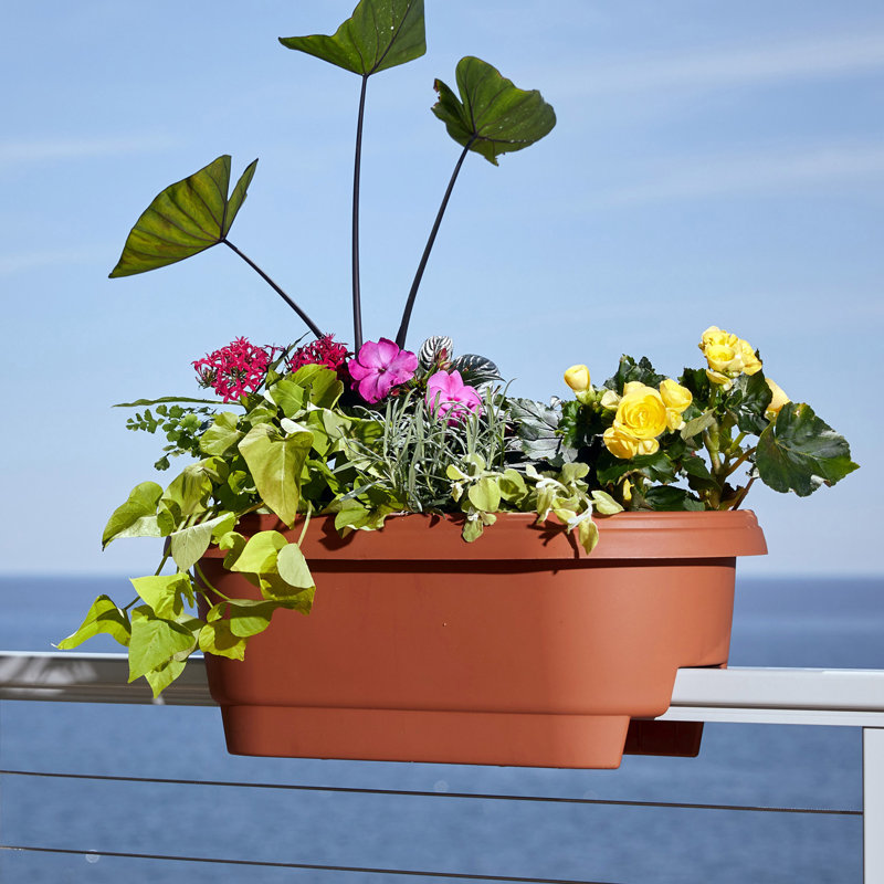 Classic Deck Rail Traditional Plastic Indoor/Outdoor Wide Oval Planter, Terra Cotta, 9" H x 24" W x 12" D