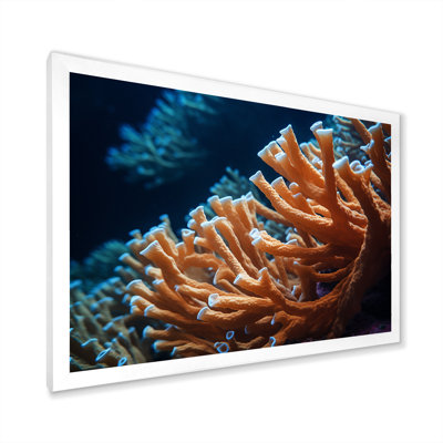 «Orange Branching Coral Reef», reproduction sur toile encadrée