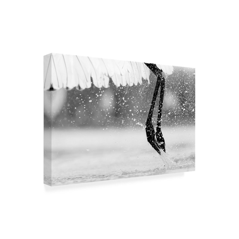 Bolog Jun Zuo Taking Off Canvas Art, 22" H x 32" W