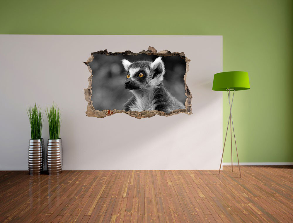 Schöner, verwirrter Ringelschwanzlemur Wandaufkleber