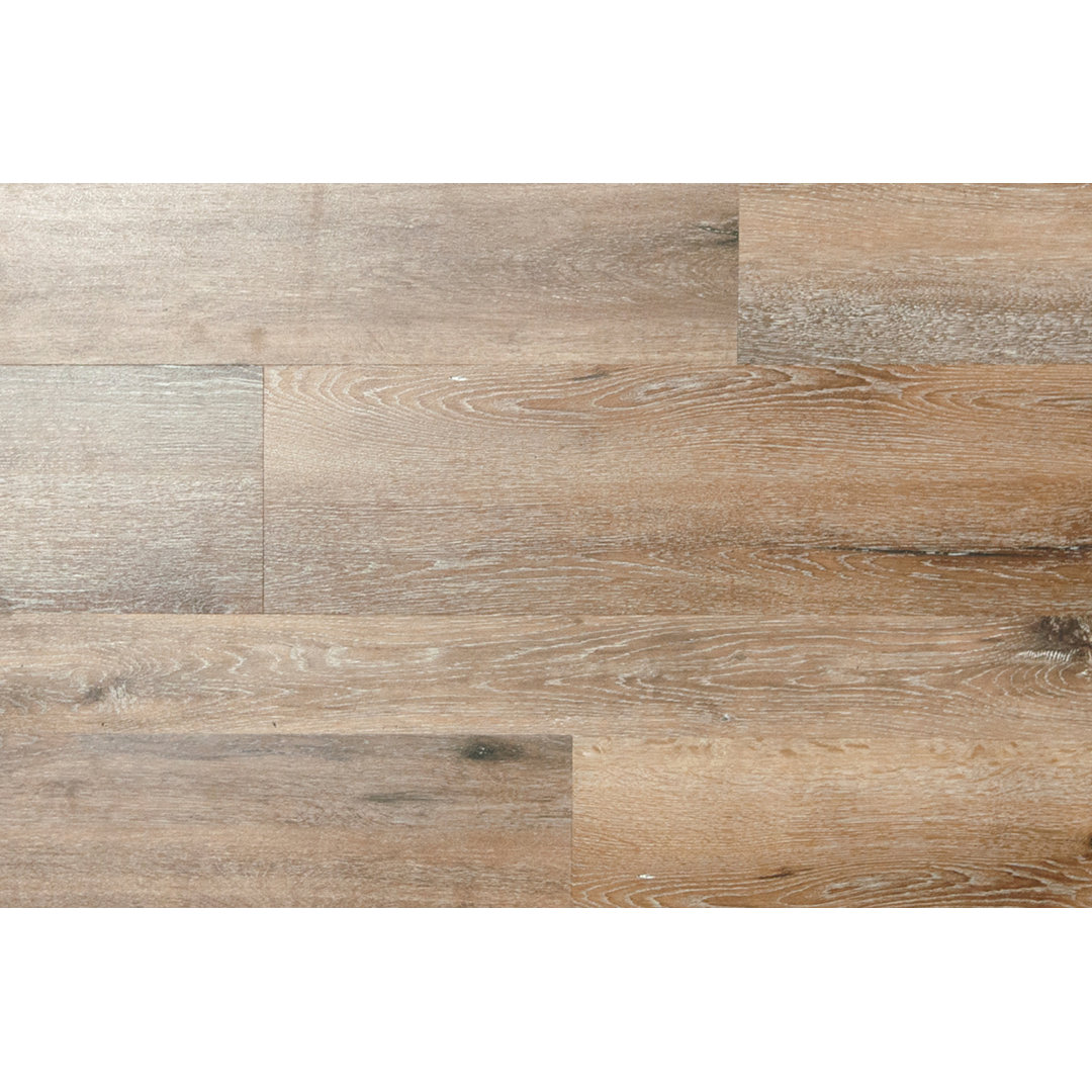 Sicily 7.5'' Thick 8'' W x 72'' L Oak Vinyl Plank Forest Valley Flooring 