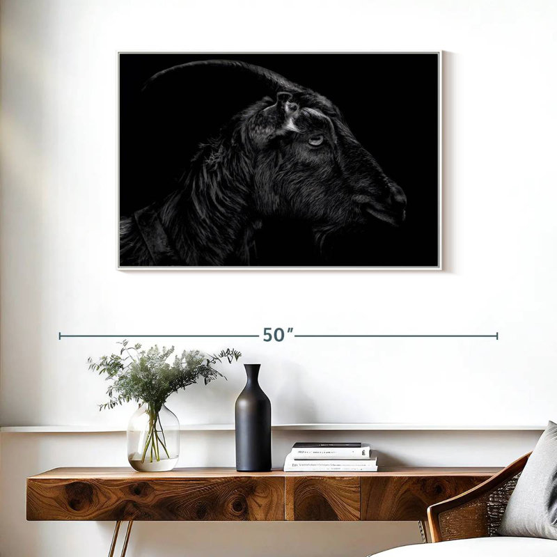 Monochrome Horned Goat, Floating Frame White, 37" X 25"