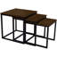 Babsy Frame Nesting Tables-173893596