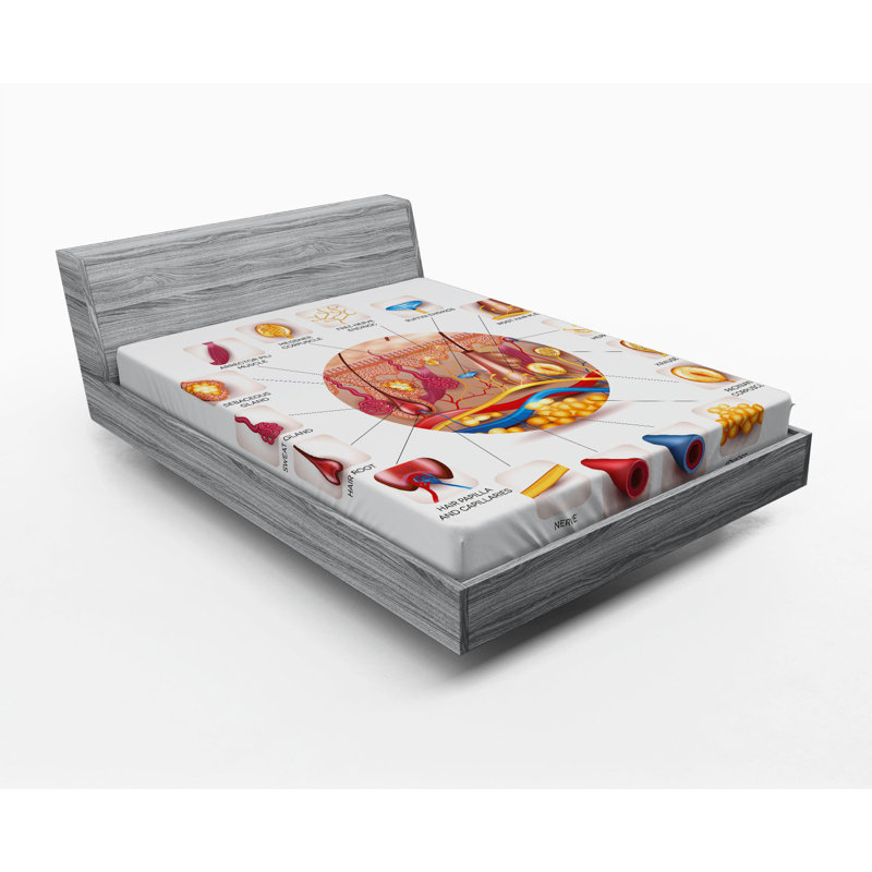 Microfiber Fitted Sheet, Queen Fitted Sheet