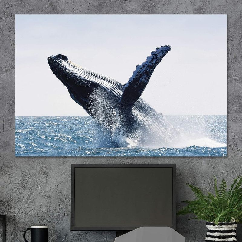 "Une baleine à bosse qui se retourne dans la vie marine bleue" sur, H 24 po x l 36 po
