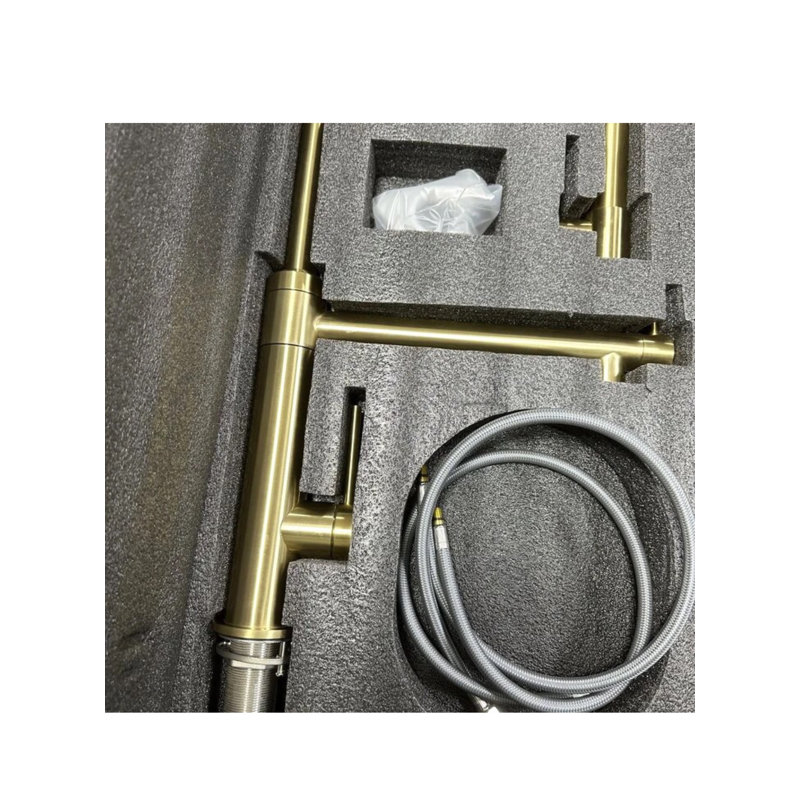AvaMalis Aquae Pull Down Kitchen Faucet