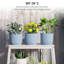 Pot Planter-523822693