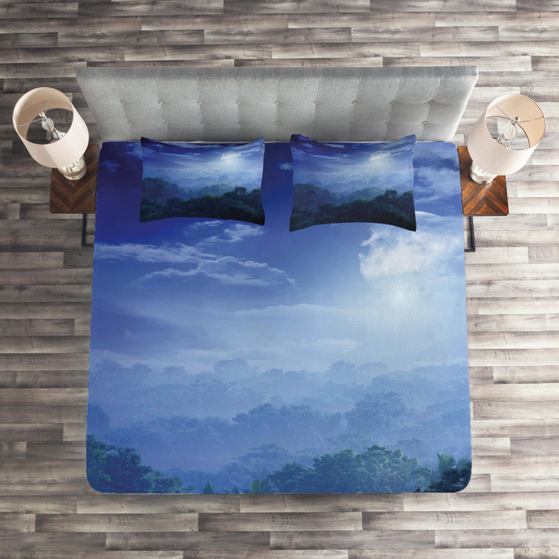 Fantasy Modern & Contemporary Polyester Coverlet, King Bedspread + 2 Shams