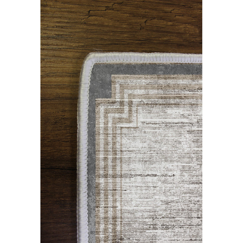 Antibacterial Hall Carpet, 3.3 x 4.9 ft, 100% Polyester, 650 g/m² | Digital Printed, Eco-Friendly, Non-Slip PVC Dot Underside | Machine Washable, Elegant Beige & Mink Design, Perfect for Living Room & Entryways
