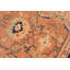 Tapis oriental rose en laine noué à la main 6 pi x 9 pi 3 po Baccio