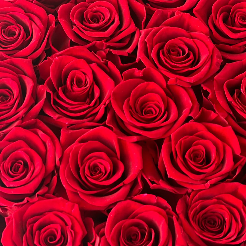 Arrangement de roses en boîte