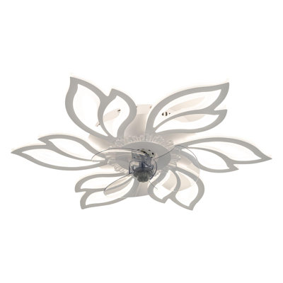 Ceiling Fan with LED Lights