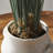 35'' Faux Pampas Grass Grass