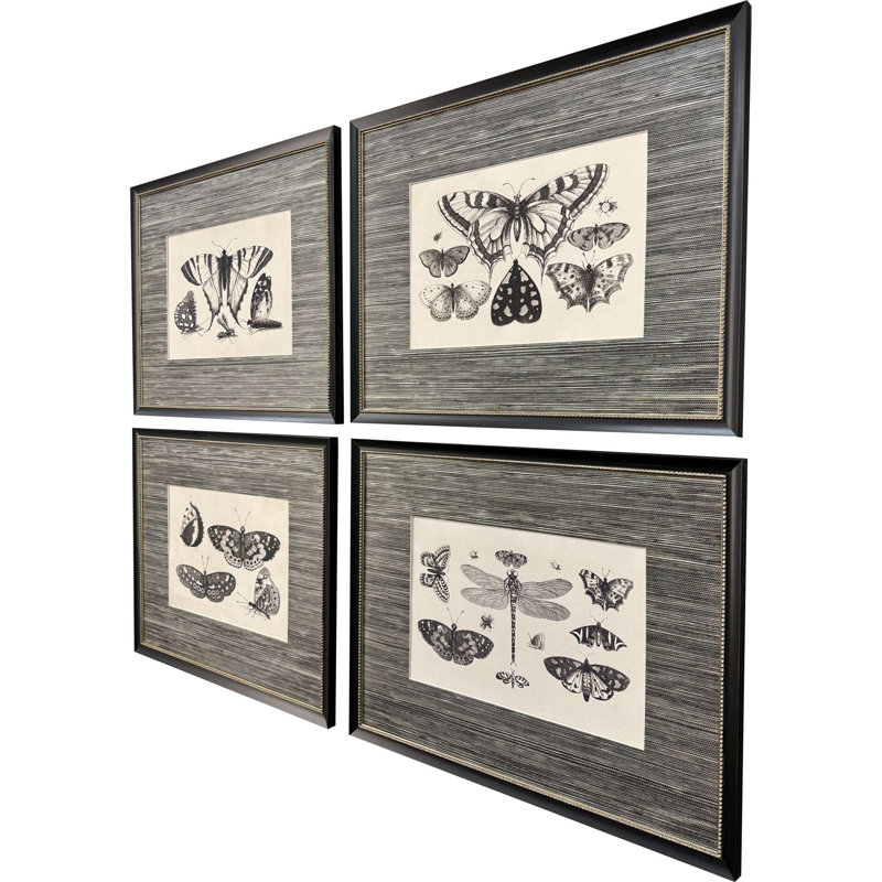 Anthropod Collection Framed Art