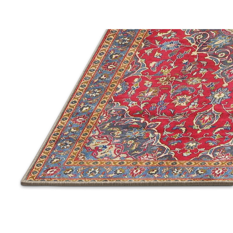 Jasleen Oriental Indoor Rug, Rectangle 8' x 12'