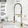 Zurich 27" H 1-handle Pull-Down Kitchen Faucet
