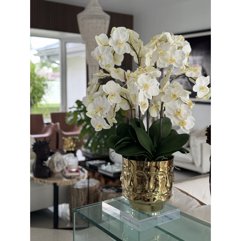 Orchid Floral Arrangement in Vase