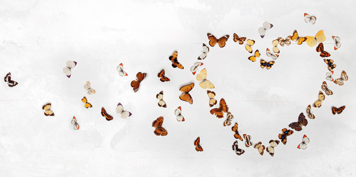 Butterfly Heart by Ian Winstanley - Print, Canvas