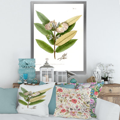 " Vintage Blossoming Flower II " Painting Print