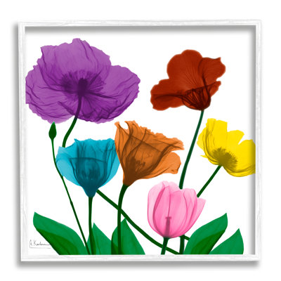 Bold Summer Blooming Florals Translucent Rainbow Flowers Gray Farmhouse