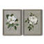 Magnolia botanique - ensemble de 2 reproductions d'art-866272717-866272741-866272756