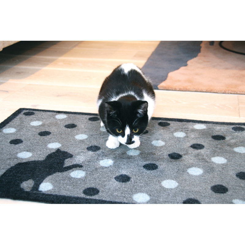 Indoor Doormat