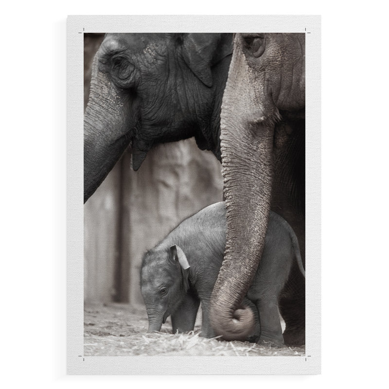 Family Moment - Impression sur toile seulement - NON-CADRE, H 18 po x l 12 po