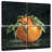 Yarlin Dark Orange Still Life II-109097275