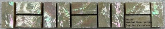 1" x 8" Authentic SeaShell Tile Decorative Mosaic Listello in Abalone Pearl Natural