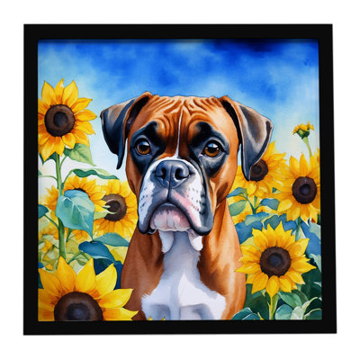 Boxer avec tournesols, impression sur métal encadrée