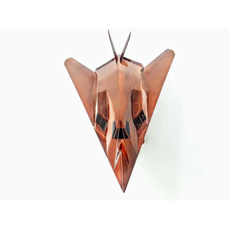 Maquette de chasse Ryburn F117