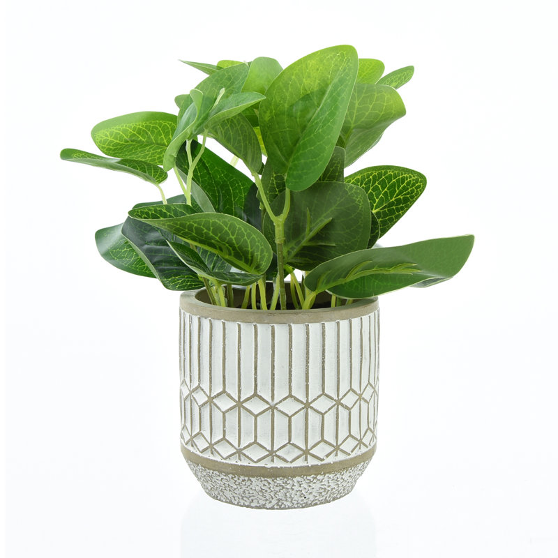 22cm Faux Foliage Plant in Porcelain Pot