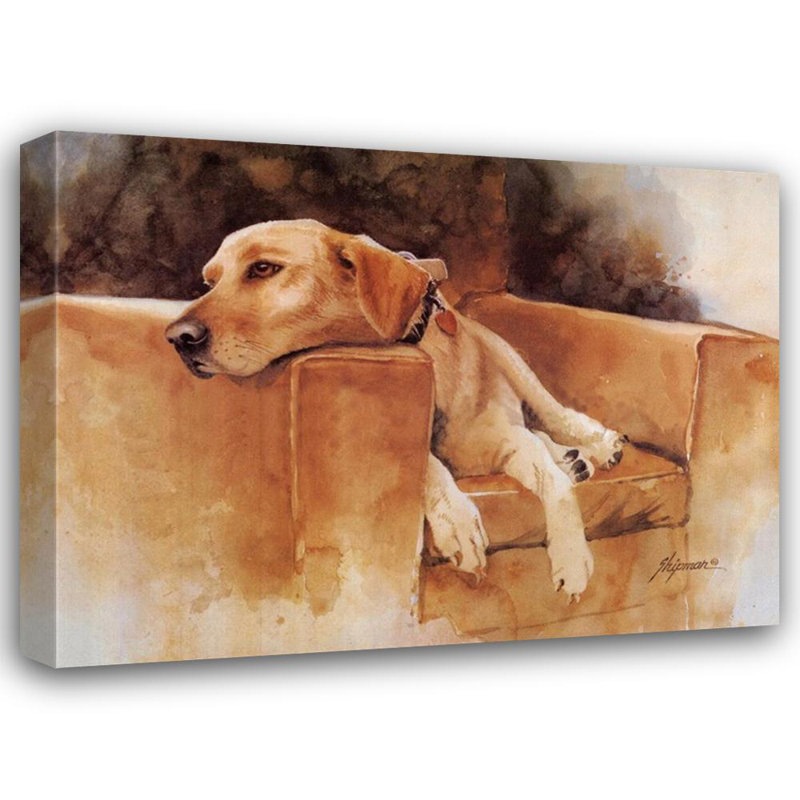 Chien fatigué (laboratoire jaune)