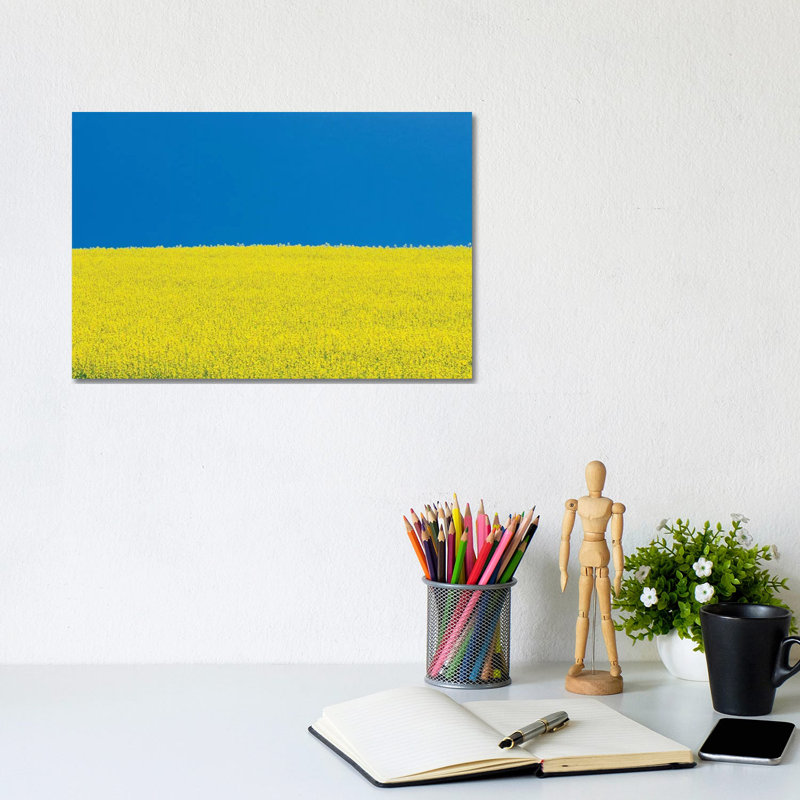 Canada, Manitoba, Killarney. Field Of Canola Flowers And Blue Sky. by Jaynes Gallery - Wrapped Canvas Print