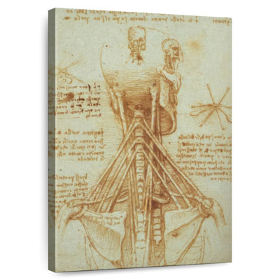 Anatomie du cou Keiri
