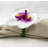 Plastic, Fabric Napkin Ring-1241803973