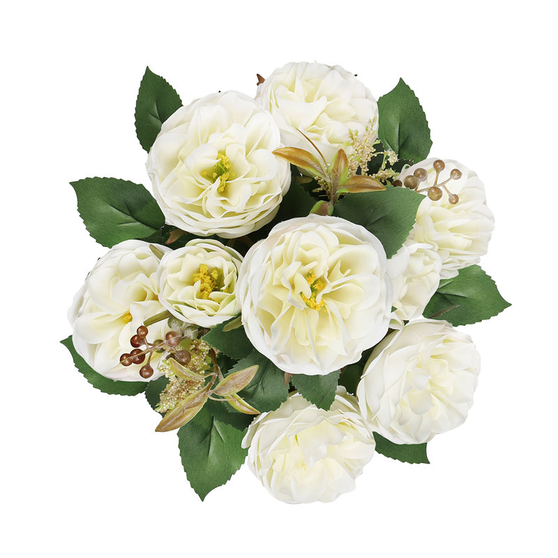 Chou rose, Blanc crème
