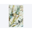 « botanique oiseaux ii », impression sur toile-29634337-74383594-74383595