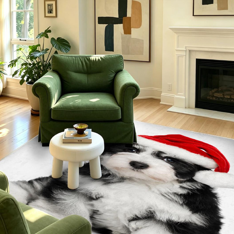 Tapis blanc bichon havanais mignon lavable à la machine assis, Rectangle 39 po x 63 po