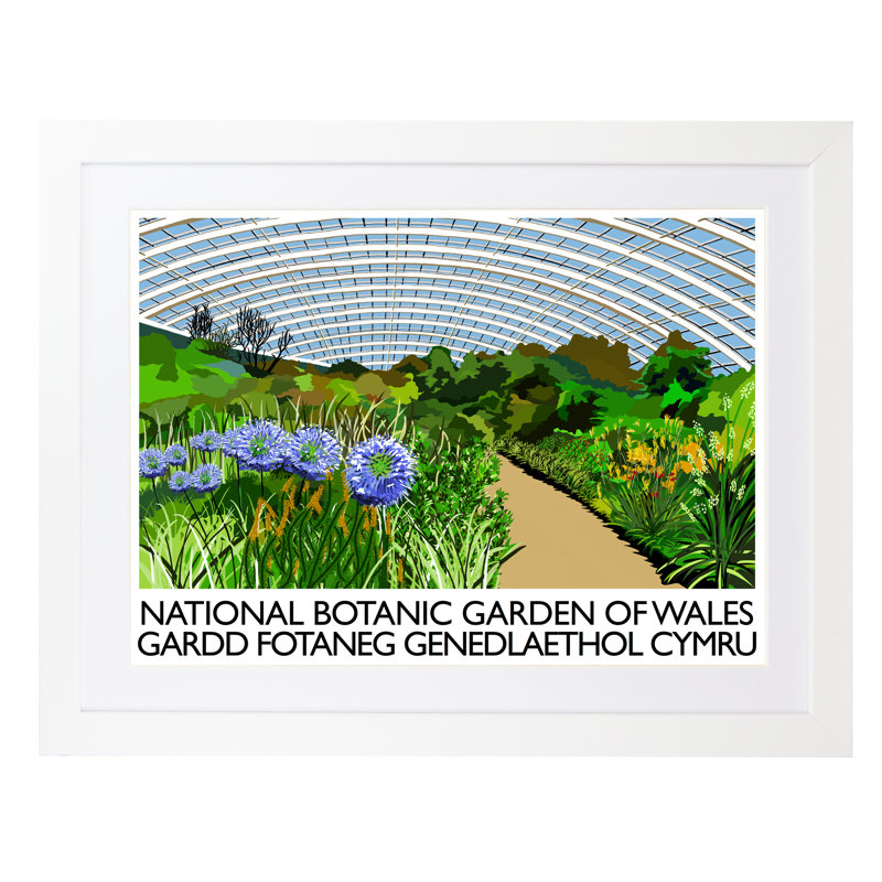National Botanic Garden Of Wales by Richard O'Neil - Print, 33.5 cm H x 43.5 cm W x 2.2 cm D, White Wood Frame