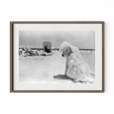 Lois At The Beach Framed Photographic Print