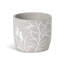 Planter-309982704