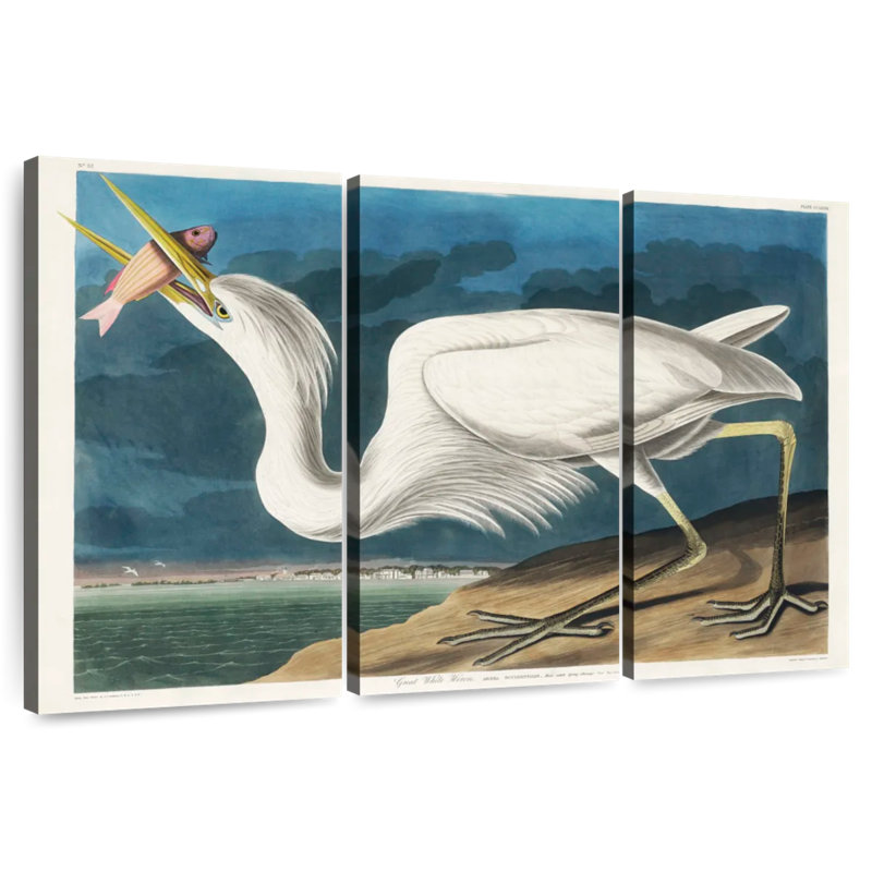 Great White Heron, 20" H x 33" W