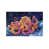 Wrapped Canvas selected